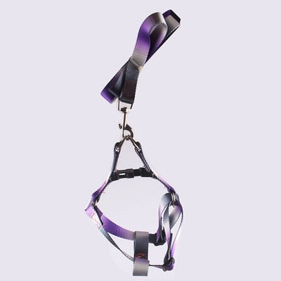 Lemmiklooma koera kaelarihma ja jalutusrihma komplekt Nailonist värvi gradiendiga reguleeritav kaelarihm suurele keskmisele väikesele koerale, lemmikloomatarvete tarvikud