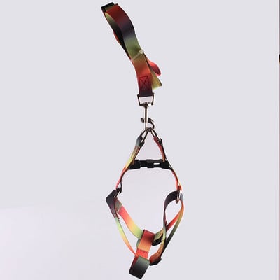 Lemmiklooma koera kaelarihma ja jalutusrihma komplekt Nailonist värvi gradiendiga reguleeritav kaelarihm suurele keskmisele väikesele koerale, lemmikloomatarvete tarvikud