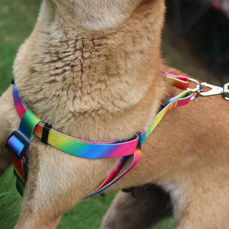 Lemmiklooma koera kaelarihma ja jalutusrihma komplekt Nailonist värvi gradiendiga reguleeritav kaelarihm suurele keskmisele väikesele koerale, lemmikloomatarvete tarvikud