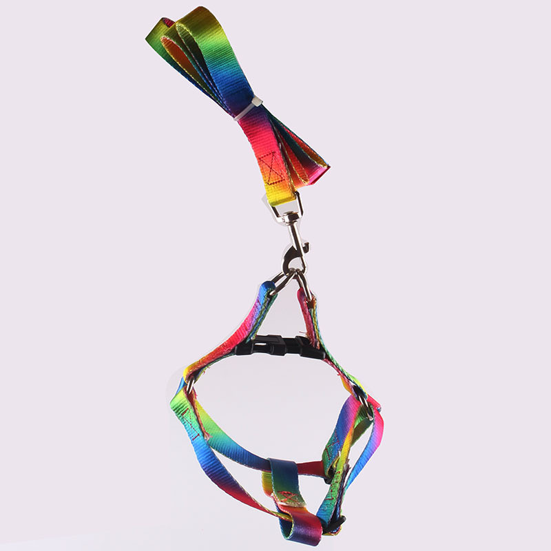 Lemmiklooma koera kaelarihma ja jalutusrihma komplekt Nailonist värvi gradiendiga reguleeritav kaelarihm suurele keskmisele väikesele koerale, lemmikloomatarvete tarvikud