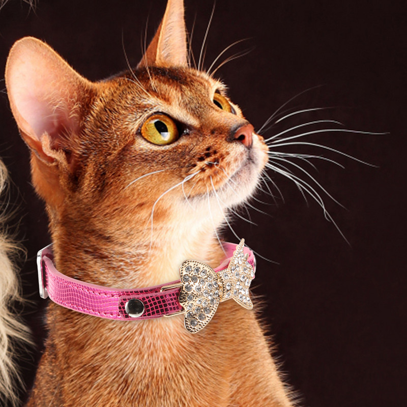 Gulerele pentru câini de mare rezistență Serviciu pentru câini mari Decor personalizat cu stras