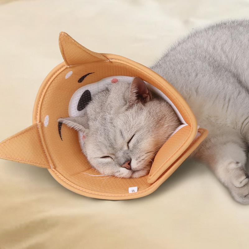 Mačji stožac Kirurgija Konus za zacjeljivanje rana Pas Mačka Zaštitna navlaka Medicinska ogrlica za kućne ljubimce Pametni stožac za sprječavanje ugriza Navlaka za rane Oprema za kućne ljubimce