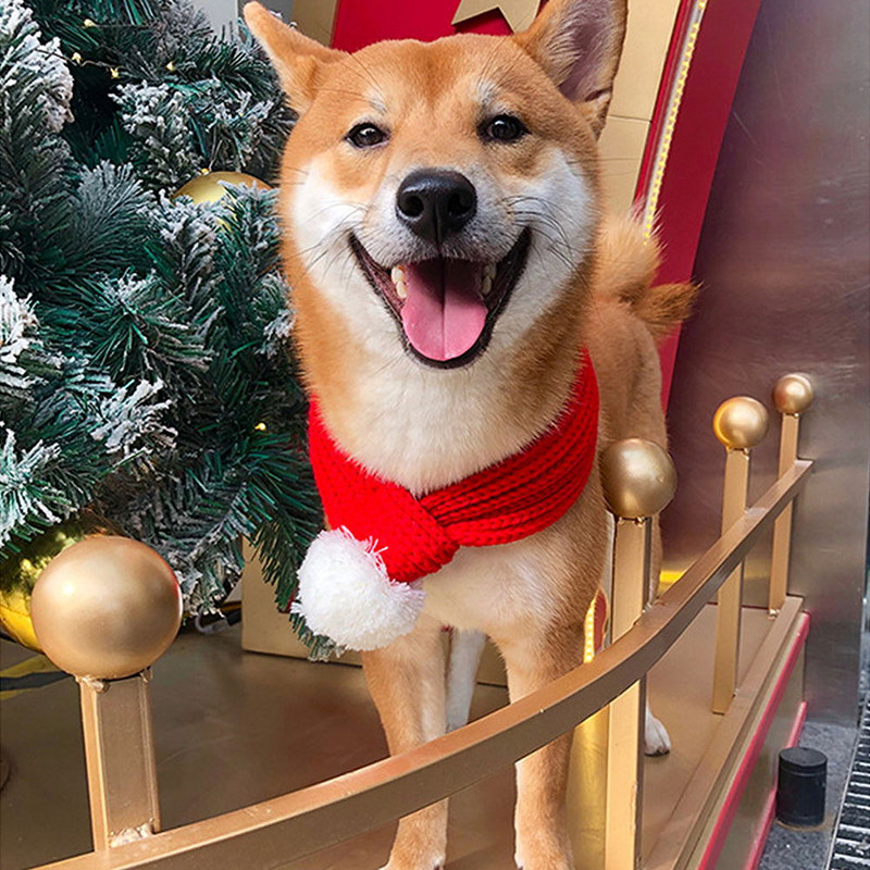 Karácsonyi szett Kutya és macska nyaka sál nyakörv fotó dekoráció nyakörv kisállat macska kutya ünnepi parti jelmez cica kiegészítők