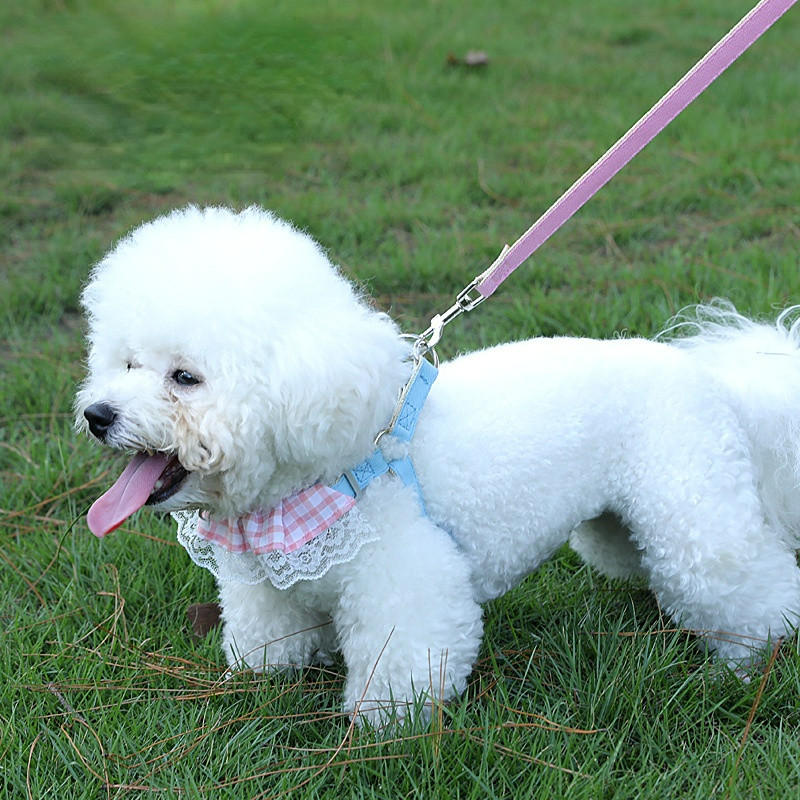 Koerarakmete ja jalutusrihmade komplekt Koertele õues, rinnakorv Koeratarvikud väikestele koertele Kass