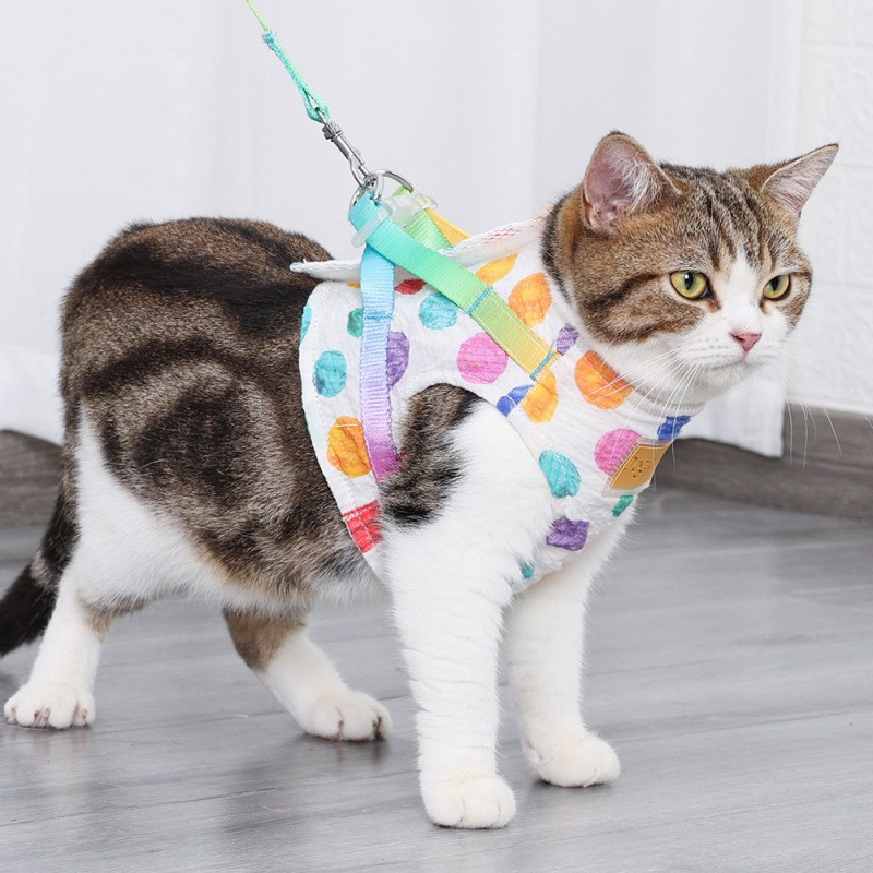 Confortabil Pet Curcubeu Wave Point Piept Spate Trage frânghie Piept Spate Set Vest Tip Funie de plimbare pentru câine