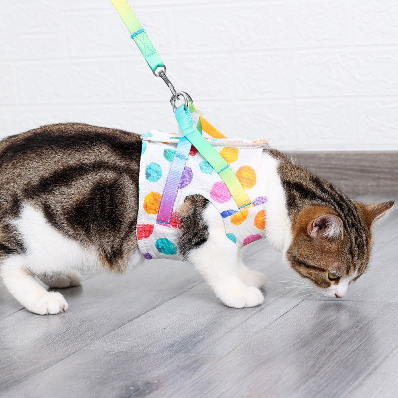 Confortabil Pet Curcubeu Wave Point Piept Spate Trage frânghie Piept Spate Set Vest Tip Funie de plimbare pentru câine