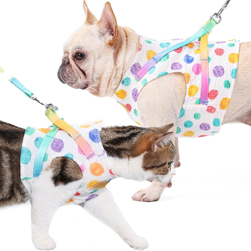 Confortabil Pet Curcubeu Wave Point Piept Spate Trage frânghie Piept Spate Set Vest Tip Funie de plimbare pentru câine