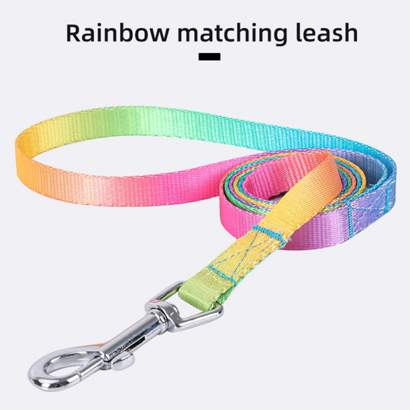 Confortabil Pet Curcubeu Wave Point Piept Spate Trage frânghie Piept Spate Set Vest Tip Funie de plimbare pentru câine