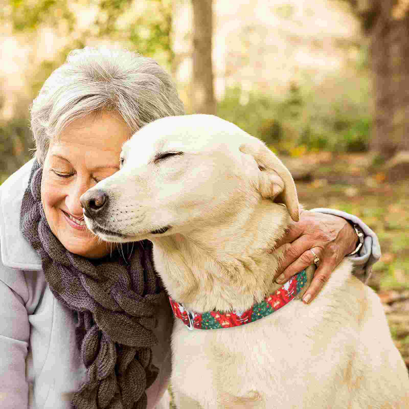 Guler elegant pentru caine Guler confortabil pentru caine Decor pentru gatul catelului Guler de Craciun