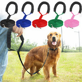 1,5–10 M pikk koerarihm, mugav käsnaga käepidemega lemmikloomaplii rihm välitingimustes treenimiseks mõeldud koerapael väikestele keskmise suurusega koertele