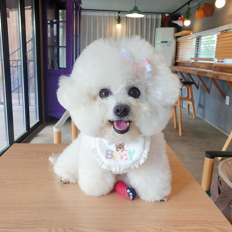 Bandane pentru câini, imprimeu cu desene animate, Bandana de vacanță pentru câini, eșarfă confortabilă pentru câini, Cadouri de aniversare pentru câini, haine pentru animale de companie, petreceri