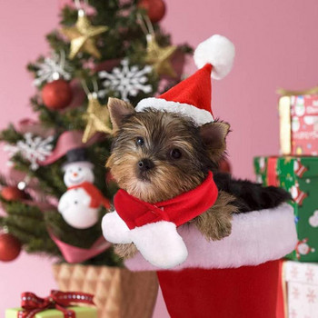 Домашна котка, куче, коледна шапка с шал, регулируема шапка на Дядо Коледа за куче и коледа, плетен червен шал за домашни любимци, коледен комплект, шапка за рожден ден St