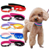 Λουρί για κολάρο σκύλου Ρυθμιζόμενο διχτυωτό κολάρο με μολύβδινο κολάρο γάτας σκύλου Επενδυμένο λουρί για κουτάβια μικρού μεσαίου μεγέθους σκύλους