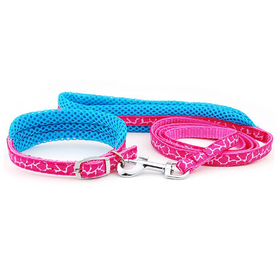 Λουρί για κολάρο σκύλου Ρυθμιζόμενο διχτυωτό κολάρο με μολύβδινο κολάρο γάτας σκύλου Επενδυμένο λουρί για κουτάβια μικρού μεσαίου μεγέθους σκύλους