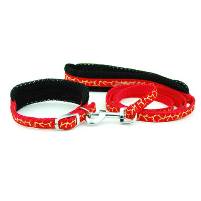 Λουρί για κολάρο σκύλου Ρυθμιζόμενο διχτυωτό κολάρο με μολύβδινο κολάρο γάτας σκύλου Επενδυμένο λουρί για κουτάβια μικρού μεσαίου μεγέθους σκύλους