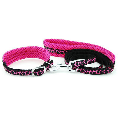 Λουρί για κολάρο σκύλου Ρυθμιζόμενο διχτυωτό κολάρο με μολύβδινο κολάρο γάτας σκύλου Επενδυμένο λουρί για κουτάβια μικρού μεσαίου μεγέθους σκύλους