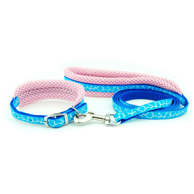 Λουρί για κολάρο σκύλου Ρυθμιζόμενο διχτυωτό κολάρο με μολύβδινο κολάρο γάτας σκύλου Επενδυμένο λουρί για κουτάβια μικρού μεσαίου μεγέθους σκύλους