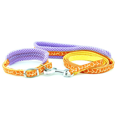 Λουρί για κολάρο σκύλου Ρυθμιζόμενο διχτυωτό κολάρο με μολύβδινο κολάρο γάτας σκύλου Επενδυμένο λουρί για κουτάβια μικρού μεσαίου μεγέθους σκύλους