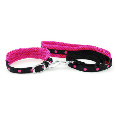 Λουρί για κολάρο σκύλου Ρυθμιζόμενο διχτυωτό κολάρο με μολύβδινο κολάρο γάτας σκύλου Επενδυμένο λουρί για κουτάβια μικρού μεσαίου μεγέθους σκύλους