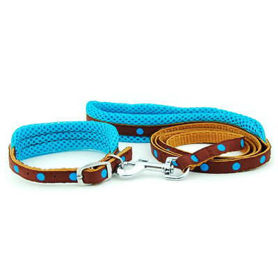 Λουρί για κολάρο σκύλου Ρυθμιζόμενο διχτυωτό κολάρο με μολύβδινο κολάρο γάτας σκύλου Επενδυμένο λουρί για κουτάβια μικρού μεσαίου μεγέθους σκύλους