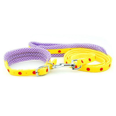 Λουρί για κολάρο σκύλου Ρυθμιζόμενο διχτυωτό κολάρο με μολύβδινο κολάρο γάτας σκύλου Επενδυμένο λουρί για κουτάβια μικρού μεσαίου μεγέθους σκύλους