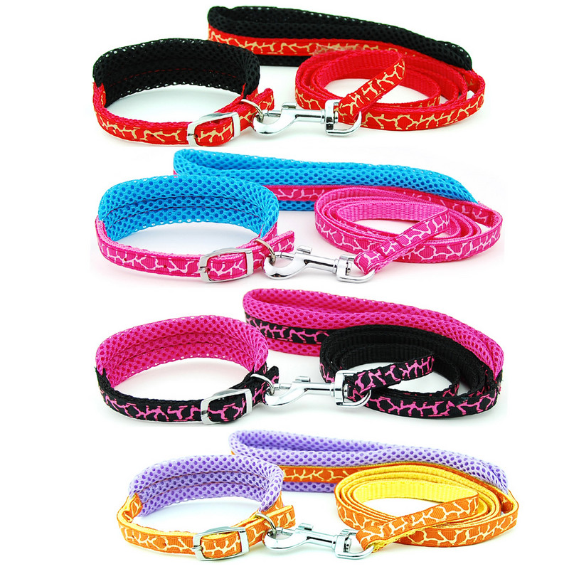 Λουρί για κολάρο σκύλου Ρυθμιζόμενο διχτυωτό κολάρο με μολύβδινο κολάρο γάτας σκύλου Επενδυμένο λουρί για κουτάβια μικρού μεσαίου μεγέθους σκύλους