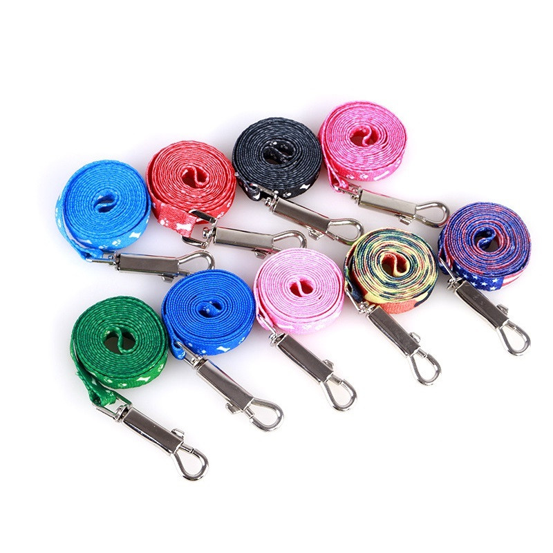 Lesă ieftină pentru câini mici Lese pentru cățeluși Set de lesă și ham pentru animale de companie de pluș Set drăguț de frânghie de plumb Lesă pentru pisici și pentru animale de companie Decorație