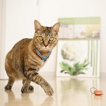 Κρεμαστό διαμάντι για κολάρο γατών Rhinestone σε σχήμα καρδιάς για κατοικίδια Αξεσουάρ για γάτες για γατάκια Γάτες εσωτερικού χώρου Μικρές γάτες για γενέθλια