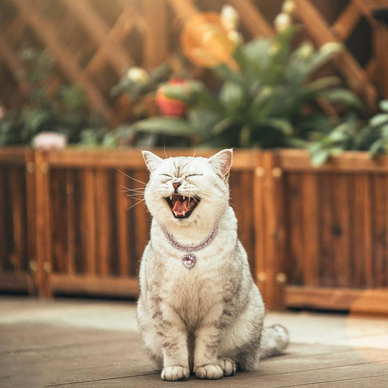 Guler de pisică cu strass Pandantiv cu diamant în formă de inimă pentru animale de companie Accesorii pentru pisici pentru pisoi de interior Pisici mici pentru zile de naștere