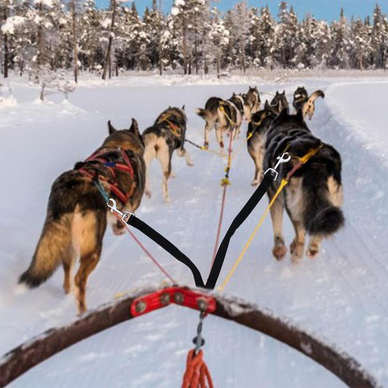 2 σε 1 Διπλό Λουρί Σκύλου Διπλό Λουρί Περπάτημα Δημιουργικό Λουρί Σκύλου Ισχυρό Νάιλον V Σχήματος Αλυσίδα Σκύλου Προμήθειες για κατοικίδια Αξεσουάρ Σκύλου