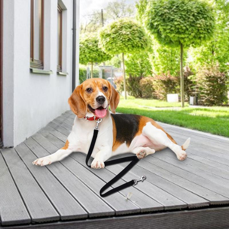 2 σε 1 Διπλό Λουρί Σκύλου Διπλό Λουρί Περπάτημα Δημιουργικό Λουρί Σκύλου Ισχυρό Νάιλον V Σχήματος Αλυσίδα Σκύλου Προμήθειες για κατοικίδια Αξεσουάρ Σκύλου