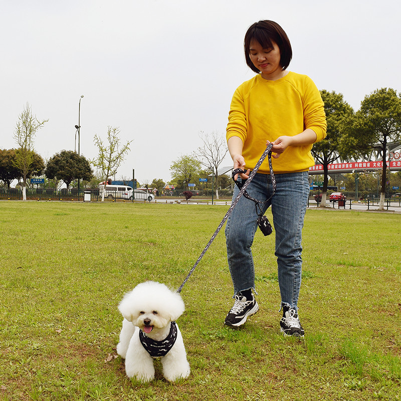 Podesiva ogrlica za pse Izdržljiva, mekana, slatka, povodac s dizajnom brkova u boji, neoprenski pojas s dozatorom vrećice za izmet