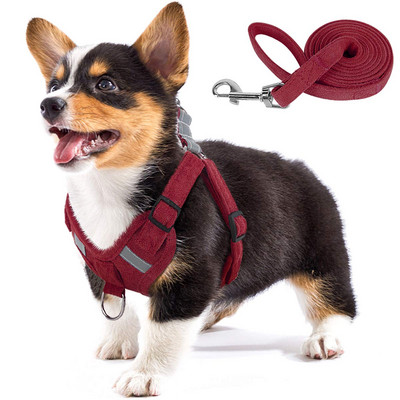 Ρυθμιζόμενο λουρί σκύλου Αναπνεύσιμο λουρί Σκύλος χωρίς έλξη Ανακλαστικό λουρί και λουρί σκύλου για μικρό μεσαίο κατοικίδιο