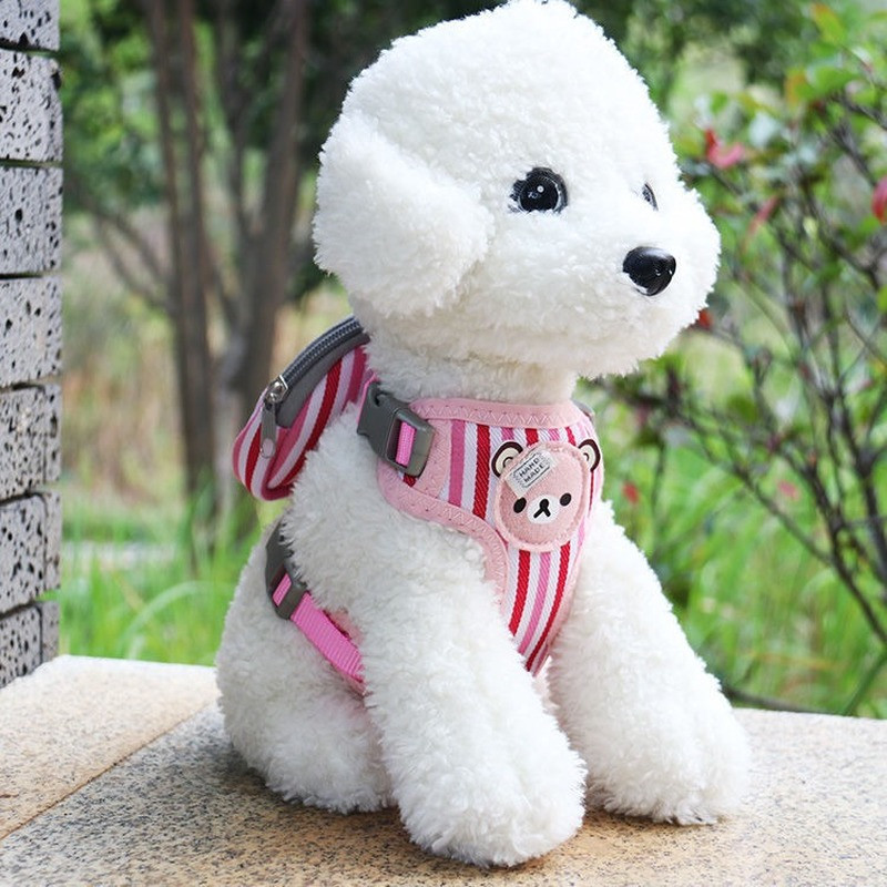 Lemmikkassi värviline triibuline seljakott rakmete jalutusrihmaga väikestele koertele Kassidele Multifunktsionaalne isekott seljakott Lemmikloomatarbed