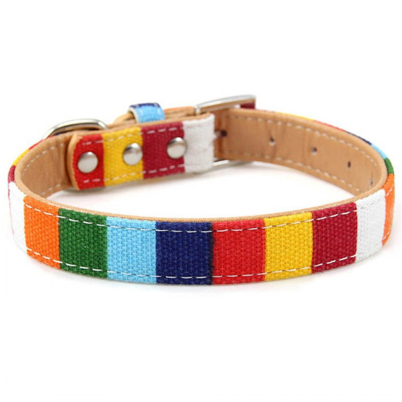 Harnaș pentru guler pentru câini pentru animale de companie Guler de designer Guler simplu din piele pentru pânză pentru câini mari și mici, curcubeu, colorat, guler pentru câine.