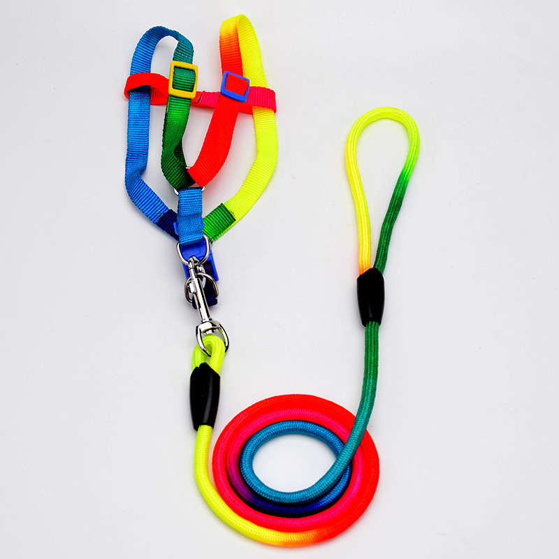 2022. aasta uued koera jalutusrihmade rakmed, vikerkaarevärvilised tugevad nailonjuhtmed, rakmed koera kassi välistingimustes kasutatavate toodete tarvikud väikese suurusega