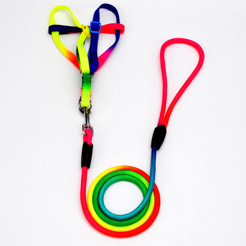 2022. aasta uued koera jalutusrihmade rakmed, vikerkaarevärvilised tugevad nailonjuhtmed, rakmed koera kassi välistingimustes kasutatavate toodete tarvikud väikese suurusega