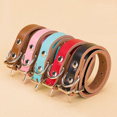 Ehtsast nahast koera kaelarihm ja jalutusrihm reguleeritav koerarihm Pehme ehtsast nahast treeningrihm Pitbull Bulldog lemmikloomatoodetele