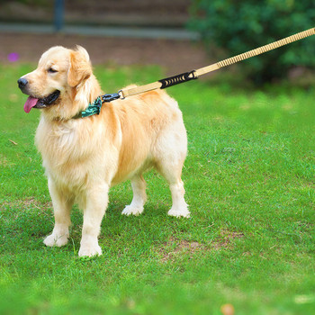 Отразяваща взривозащитена каишка за кучета за средни големи кучета Дръжки за поглъщане на удари Тежкотоварни каишки за кучета със скоба за кола