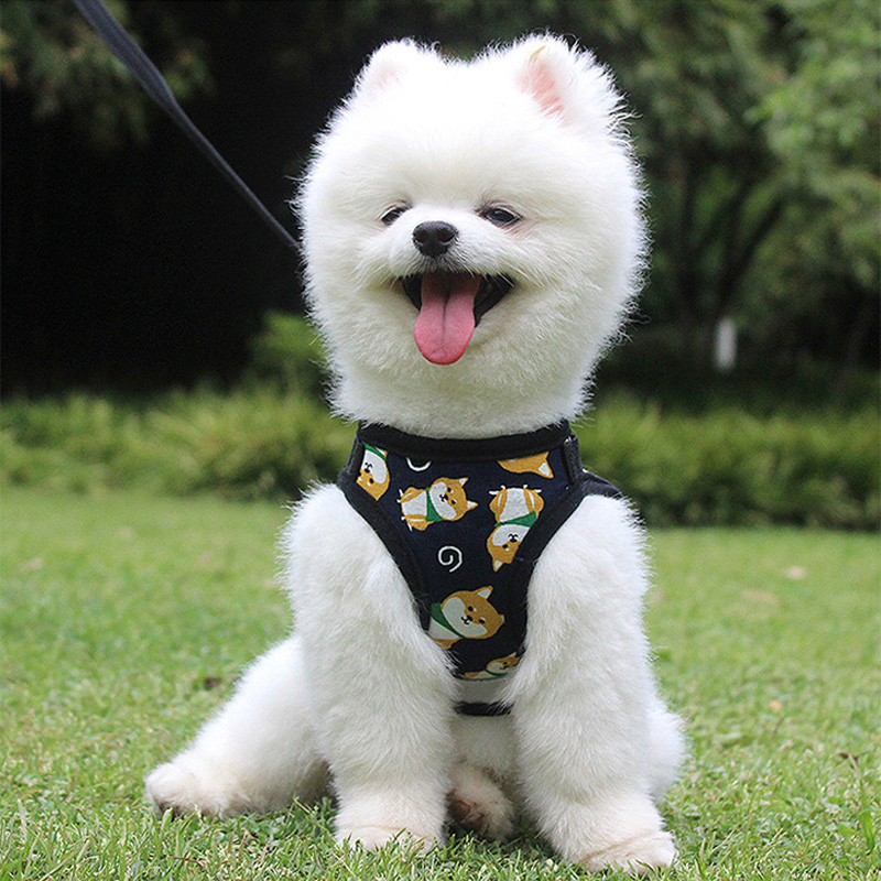 Ανακλαστικό γιλέκο με λουρί για σκύλους για μικρόσωμους μεσαίους σκύλους Κινούμενα σχέδια Shiba Inu Κολάρο με πλέγμα για κουτάβι που περπατά με λουρί για κατοικίδια
