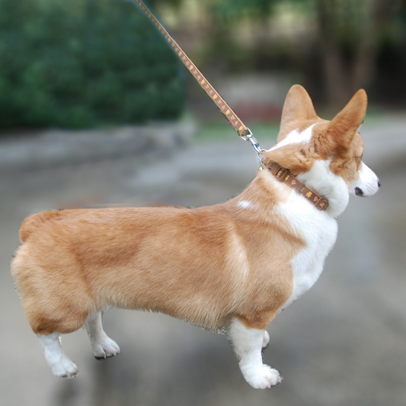 Ogrlica za pse, mačke, povodac, podesiva ogrlica za kućne ljubimce, povodac sa zvoncem, proizvodi za kućne ljubimce za male srednje pse, korgi buldog za šetnju na otvorenom