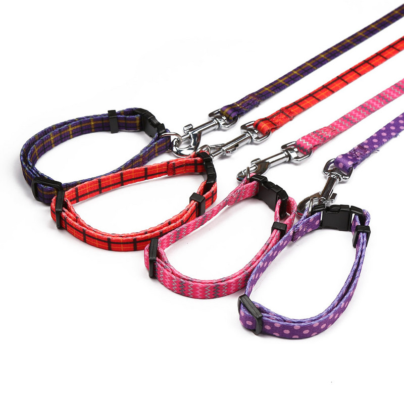 Set de lesă și zgardă pentru câini cu eliberare rapidă Lesă pentru câini Set zgardă și lesă pentru câini din nailon Produs pentru animale de companie Zgarda de câine de rupere Lesă de câine