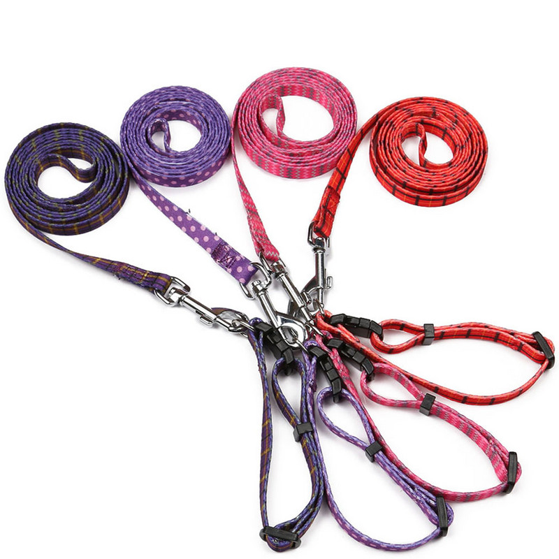 Set de lesă și zgardă pentru câini cu eliberare rapidă Lesă pentru câini Set zgardă și lesă pentru câini din nailon Produs pentru animale de companie Zgarda de câine de rupere Lesă de câine