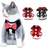 Ζωντανό λουρί για σκύλο για γάτα με λουρί για παπιγιόν για κουτάβι λουράκι στήθους για μικρόσωμους σκύλους Teddy Chihuahua Γιλέκο λουριές Προμήθειες γιακά για κατοικίδια