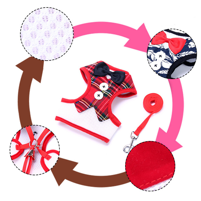 Ζωντανό λουρί για σκύλο για γάτα με λουρί για παπιγιόν για κουτάβι λουράκι στήθους για μικρόσωμους σκύλους Teddy Chihuahua Γιλέκο λουριές Προμήθειες γιακά για κατοικίδια