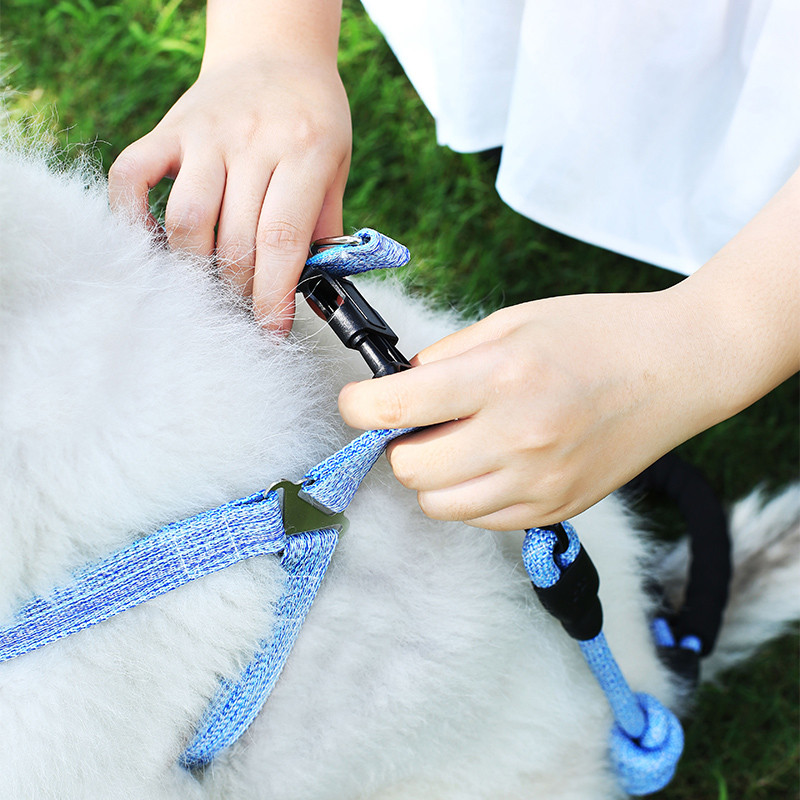 Ρυθμιζόμενο σχοινί λουρί σκύλου αξεσουάρ κατοικίδιων ζώων αγαθά για κατοικίδια λουρί τσιουάουα τακτική ζώνη coisas para cachorro σκύλους ζώνη λαιμού