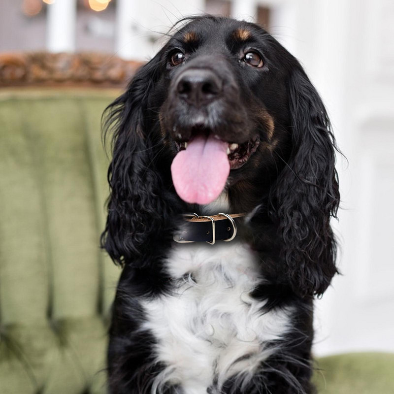 Tekert kutyanyakörv bőr állítható fém csatos nyakörvek kutyáknak, kézzel készített kis, nagy macskák kutyanyakörvek mindennapi sétához egy jó