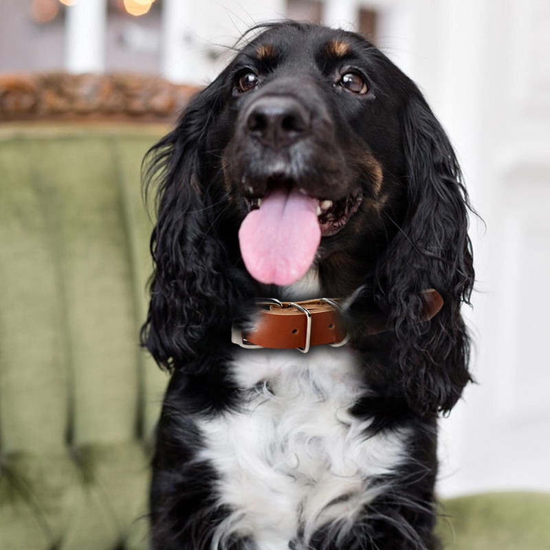 Tekert kutyanyakörv bőr állítható fém csatos nyakörvek kutyáknak, kézzel készített kis, nagy macskák kutyanyakörvek mindennapi sétához egy jó