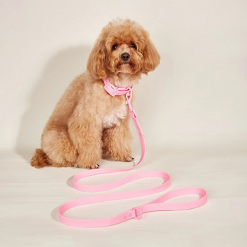 Πολυτελές γιακά σκυλιών και σετ λουριών PVC αδιάβροχο μωβ λουρί Ρυθμιζόμενο κολάρο για προμήθειες αξεσουάρ κατοικίδιων για μεσαίου μεγέθους σκύλους