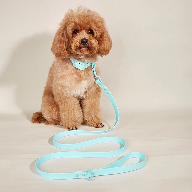 Πολυτελές γιακά σκυλιών και σετ λουριών PVC αδιάβροχο μωβ λουρί Ρυθμιζόμενο κολάρο για προμήθειες αξεσουάρ κατοικίδιων για μεσαίου μεγέθους σκύλους